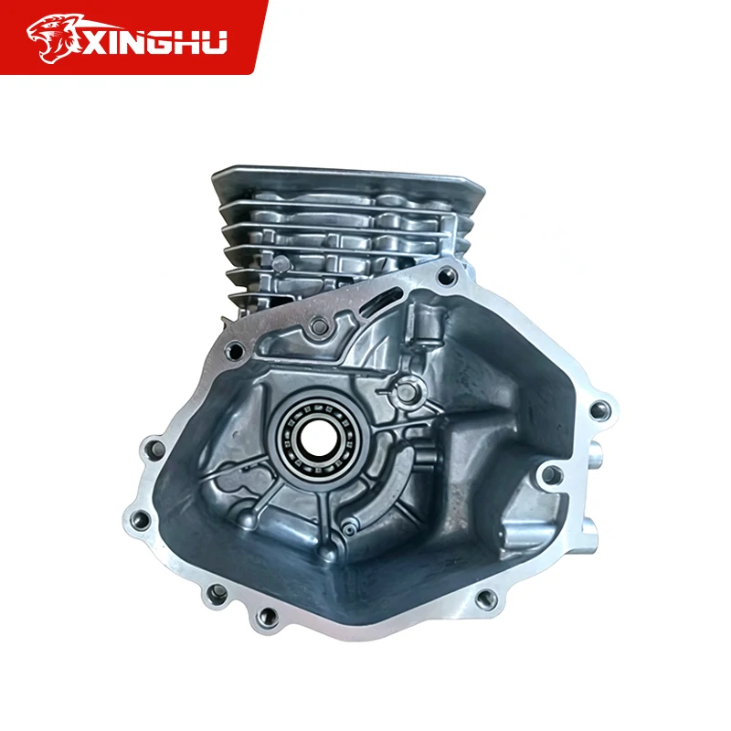 Cylinder Crankcase Cylinder Crankcase