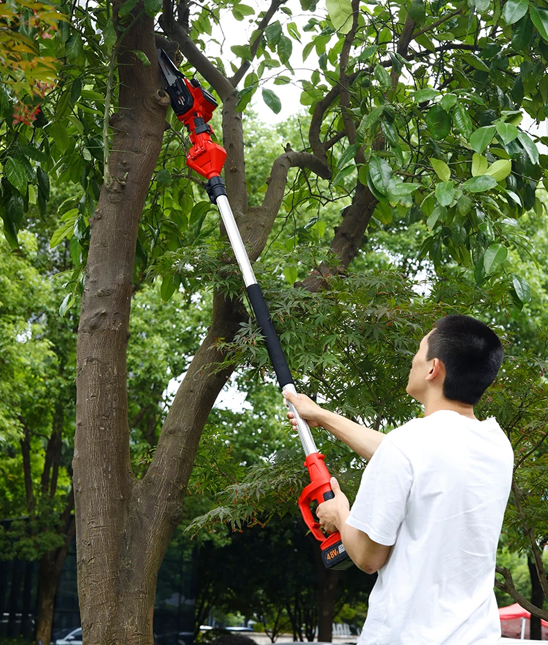 40V Detachable 2-in-1 Lithium Telescopic Pole Saw